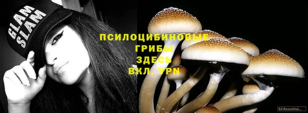 ALPHA PVP Михайлов