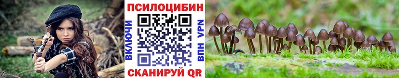 Галлюциногенные грибы Cubensis  Ленинградская 
